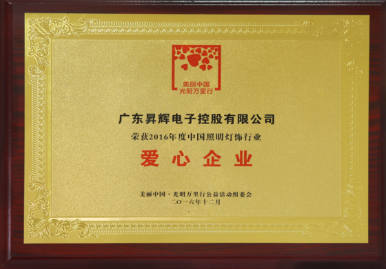 2016年度中國(guó)照明燈飾行業(yè)愛心企業(yè)